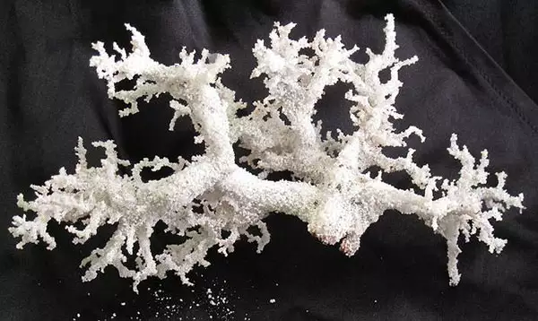 Fulguritos: quando raios transformam areia em vidro