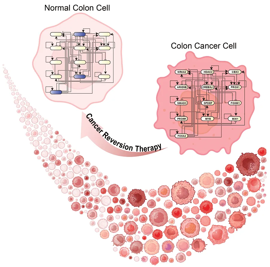 Ilustração comparativa entre células normais e células cancerígenas, destacando um possível processo de reversão do câncer.