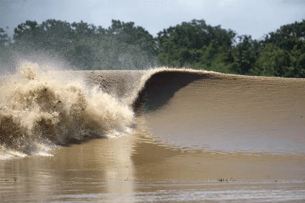 Pororoca na Amazônia