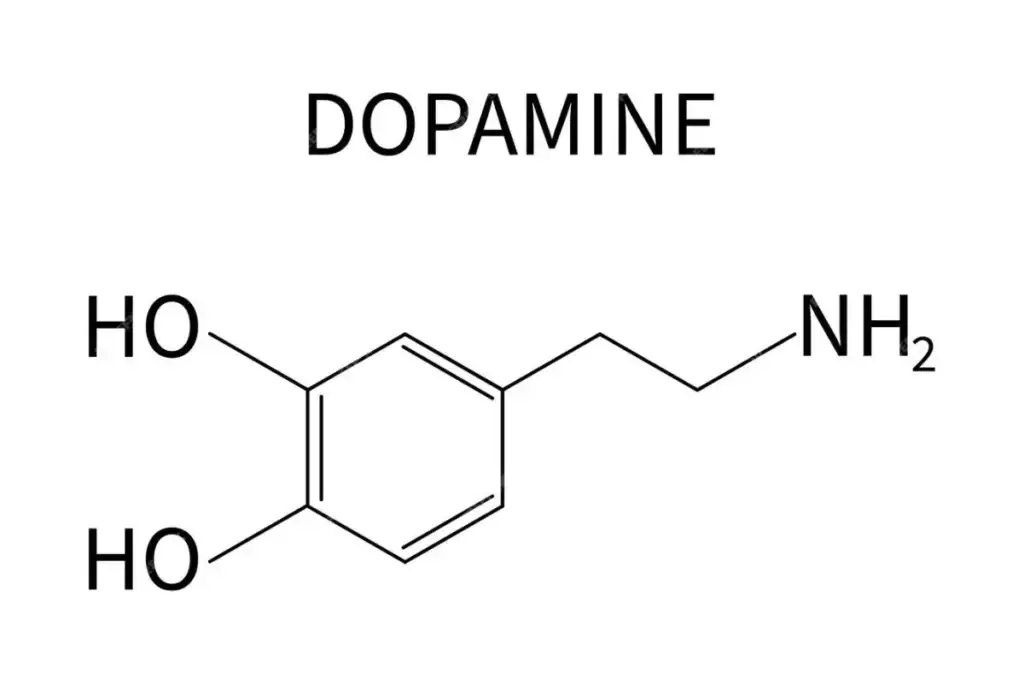 dopamina Amor e a dopamina