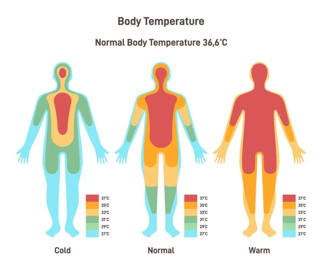 hipertermia-hipotermia-e-normal-temperatura-diagrama-corpo-calor-vetor Hipotermia (frio em excesso)