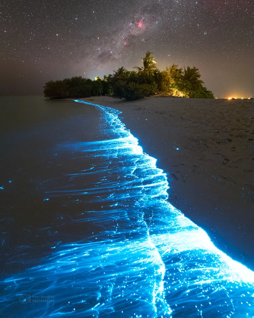 p0hnbk2b.jpg bioluminescência no Mar de Estrelas registrado