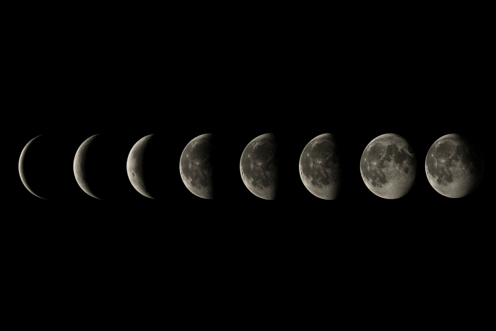 Fases da Lua Fases da Lua