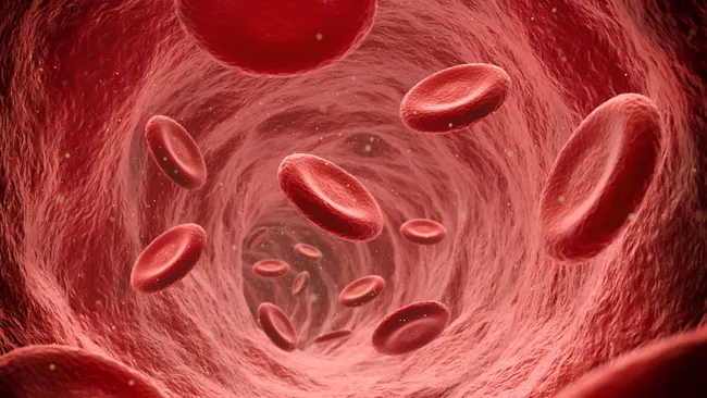 Curiosidades sobre o sangue: por que o nosso é vermelho?
