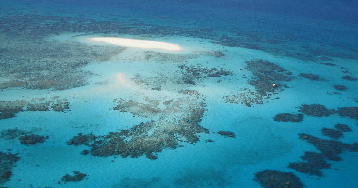 Grande Barreira de Corais: a Maior estrutura viva