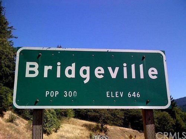 Californian-Town-of-Bridgeville Bridgeville, A cidade vendida no eBay por 1,8 milhão de dólares