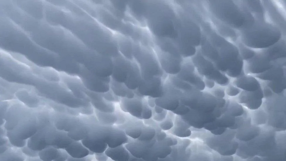 Nuvens mammatus