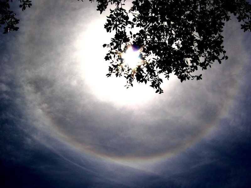 halo halo solar